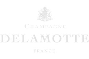 Wine services X Champagne Delamotte