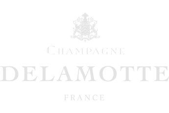 Wine services X Champagne Delamotte
