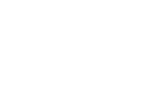 Wine services X Sassicaia