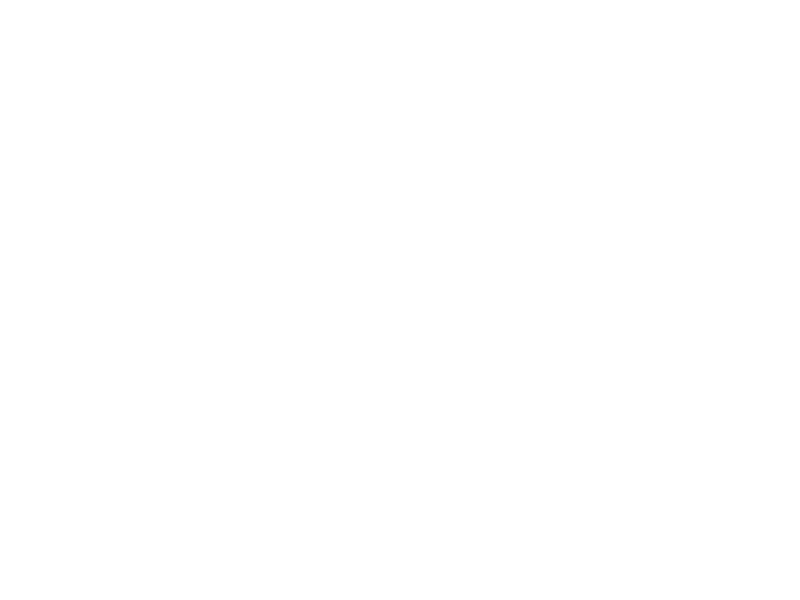 Wine services X Sassicaia